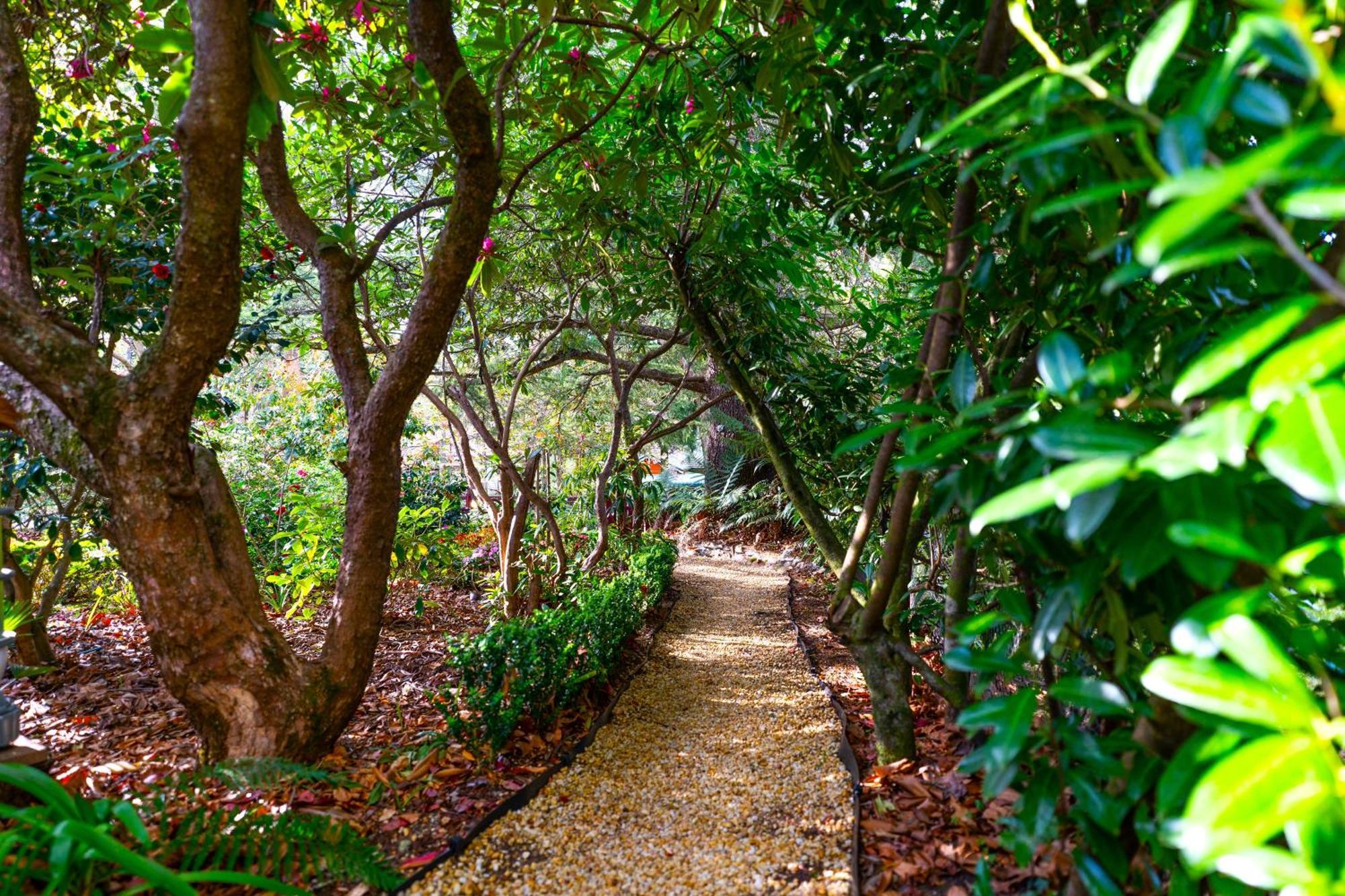Kubba Roonga Guesthouse - Boutique Luxury Spa Retreat & Gardens - Blue Mountains แบล็คฮีธ ภายนอก รูปภาพ