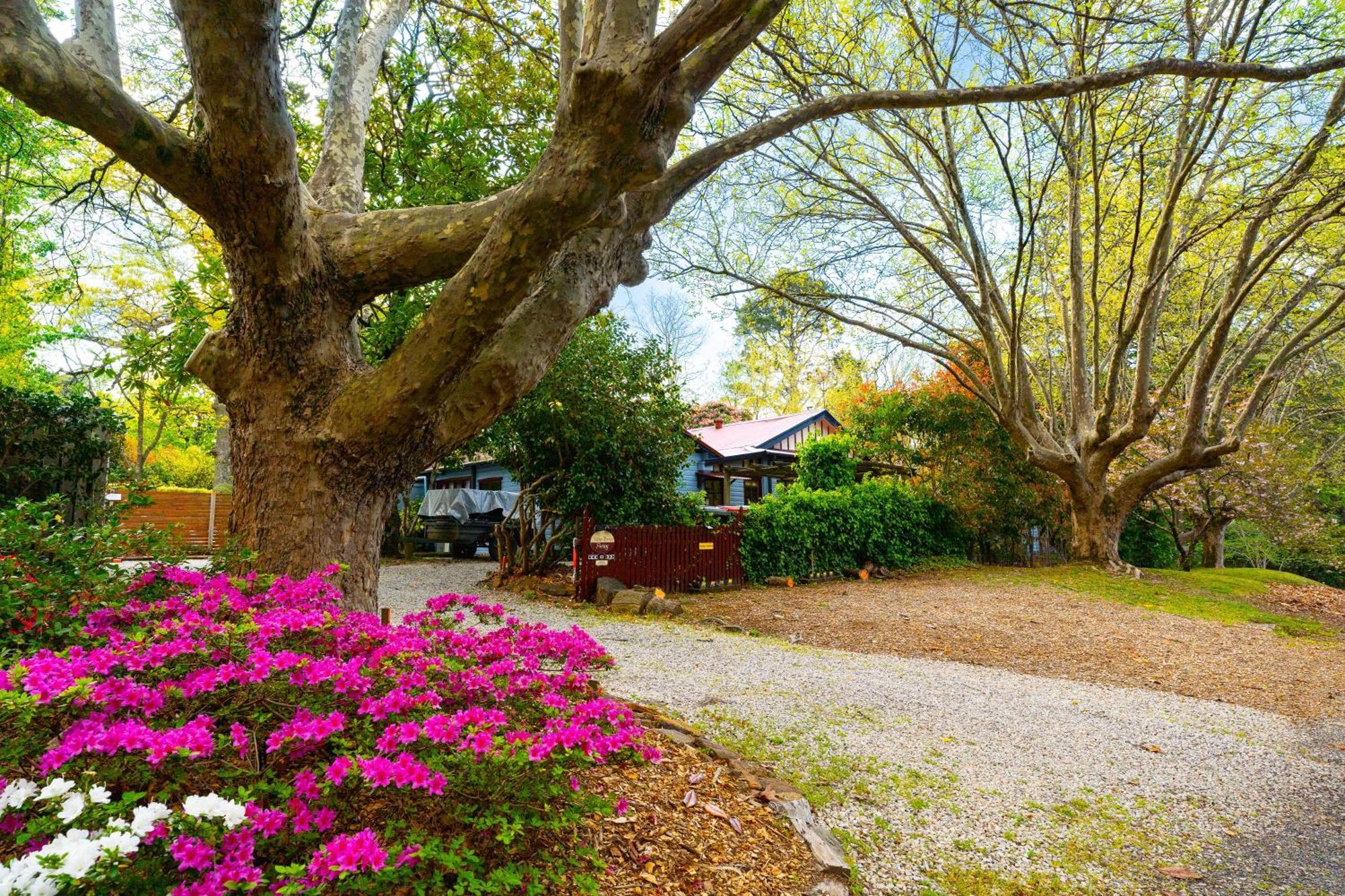 Kubba Roonga Guesthouse - Boutique Luxury Spa Retreat & Gardens - Blue Mountains แบล็คฮีธ ภายนอก รูปภาพ